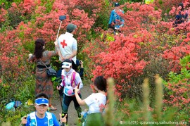 微信图片_20190404130117