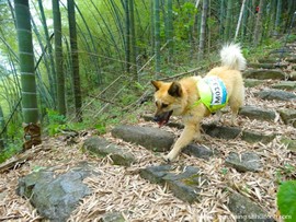 微信图片_20190404130121