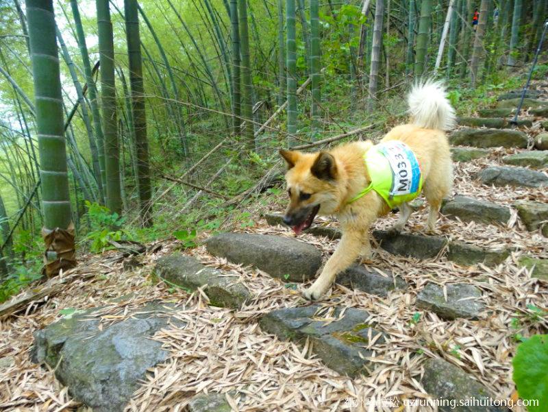 微信图片_20190404130121