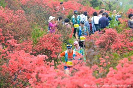微信图片_20190404130124