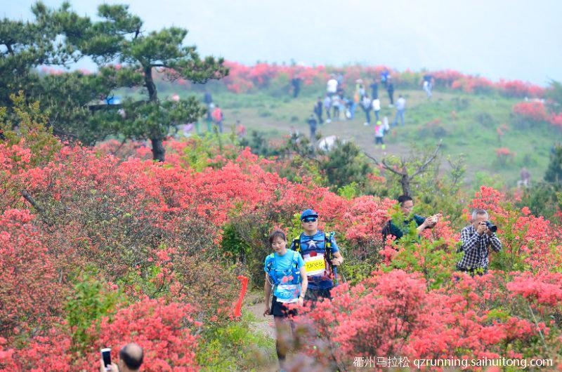 微信图片_20190404130127