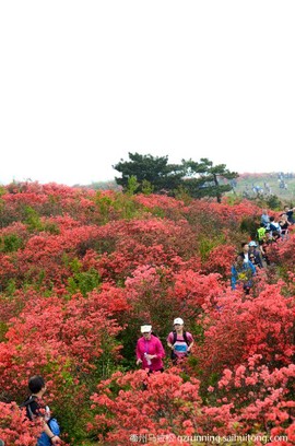 微信图片_20190404130131