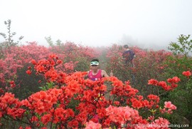 微信图片_20190404130135