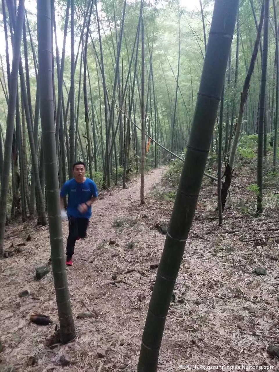 微信图片_20190411082827