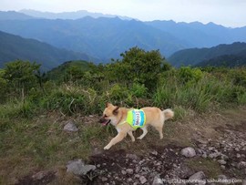 微信图片_20190411082847