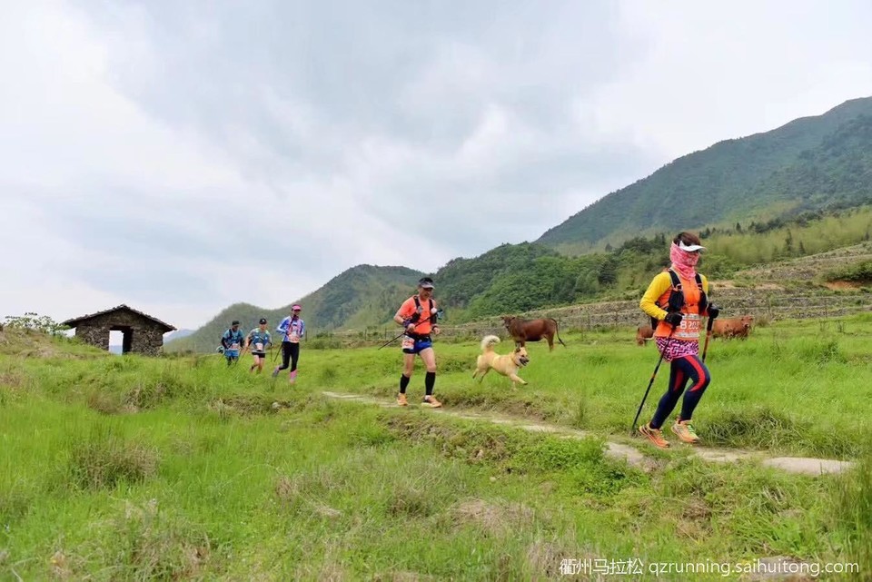 微信图片_20190411082942