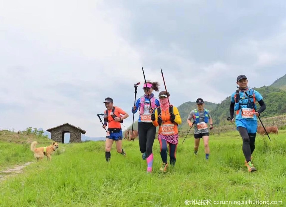 微信图片_20190411082947