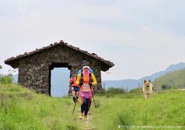 微信图片_20190411082951