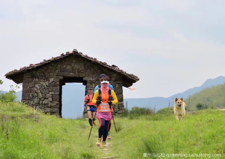 微信图片_20190411082951