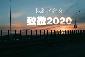 2020这一年