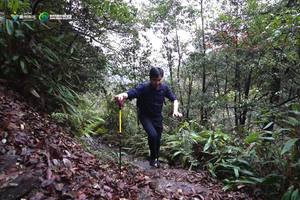 环浙步道——大龙岗