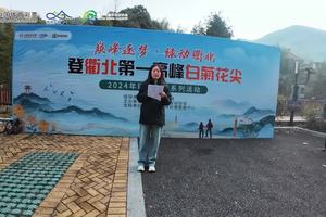 绿动衢北登顶白菊花尖