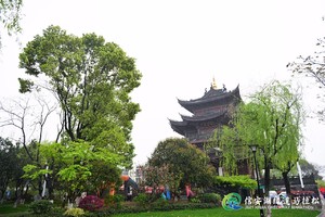 2021信安湖绿道马拉松