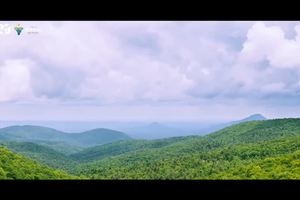 2019灵鹫山100越野赛宣传片