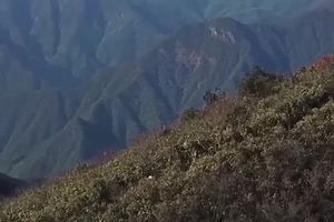 灵鹫山100国际越野赛花絮(2)