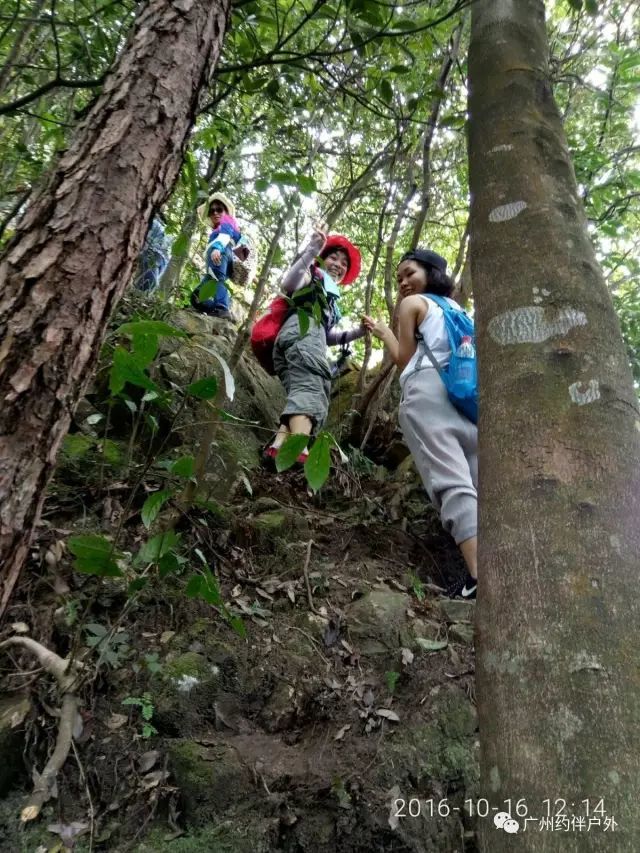 (8)【山野逃票】5月25日 白水寨、登9999天梯，赏内地最大落差瀑布 （特价59元）-户外活动图-驼铃网