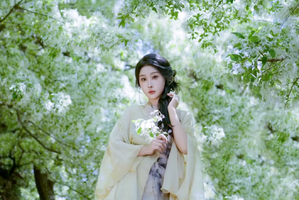 【一路繁花】丽江古城、鹤庆西龙潭、桑岭村流苏花雨、剑川古城、兰坪罗古箐、马象公路杜鹃花海、秘境哀牢山7日深度游