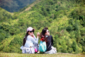 特惠298【徒步鸡笼顶 1天1夜】打卡粤西最美大草原，赏千亩高山杜鹃花