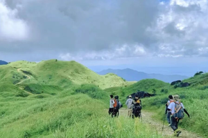 春日踏青计划【惠州绿色大南山1天】广东版武功山，徒步穿越迷人高山草甸1天