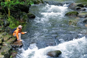 春日踏青计划【千泷沟穿越1天】徒步穿越千泷沟大瀑布，行摄万亩竹海