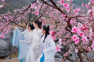 3.21桃花节【永州2天】香花井村万亩桃花+小众城堡勾蓝瑶寨+上甘棠村