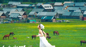 绝色新疆·我的阿勒泰6日 | 2-6人小团 阿禾公路+喀纳斯+禾木+白哈巴+魔鬼城+S101国防公路