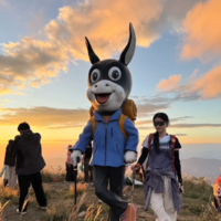 每周五晚出发【武功山徒步2天2夜·大巴团】赴一场高山之约 ，赏绝美绿色草甸，云海，星空