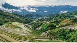 桂林山水四天三晚精华游/龙脊+相公山+兴坪古镇+遇龙河竹筏