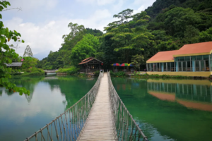 【每周四/六/日出发，特价98元】媲美九寨沟的避暑天堂，探索千年紫云谷溯溪玩水，行摄最美山水，尝美食农家菜~