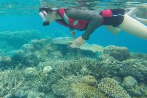 周六特惠328！【浪漫“马尔代夫”2日】堪称广东马尔代夫，沙滩露营，浮潜、冲浪、浆板、赶海，满足你对海边所有幻想