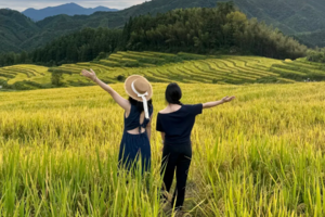 金秋爆款【醉美赏秋2天】住进梯田里+送瑶寨长桌宴！金色大地“欧家梯田+黑山梯田”，千亩银杏林，千户油岭瑶寨，万山朝王