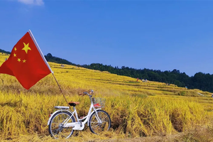 金秋特价128！【醉美梯田+银杏1天】欧家梯田赏千亩金色稻浪，品农家菜！国家石漠公园赏千亩银杏，神奇瑶岭，万座石山