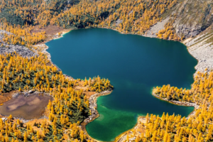 【大美党岭】8人纯玩小团 · 赠驻地旅拍  党岭葫芦海+亚拉雪山+中路藏寨+鱼子西+新都桥+红海子5日秘境赏秋（轻徒步）
