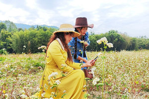 【荞见枫叶】赏八万棵红枫，漫步岭南红叶世界！霍比特人小屋、高山茶园、天空之境、天梯！相遇百亩浪漫荞麦花