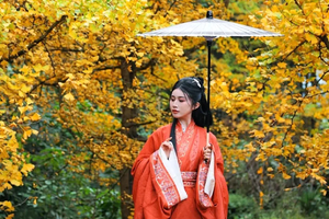 【滇西秘境】腾冲银杏-和顺-怒江丙中洛-独龙江纹面女-神田-雾里村-老姆登-诺邓-巍山古城-南涧土林-无量山樱花10日游