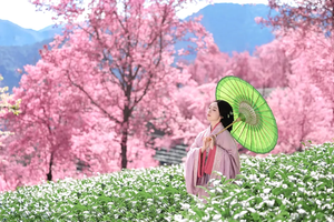 【滇西全景】大理-芒市瑞丽-腾冲-银杏村-怒江独龙江-纹面女-丙中洛-梅里雪山-沙溪-南涧土林-樱花谷11日