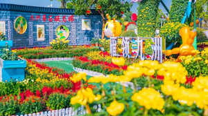 美极了【特价88元】一年一度中山小榄菊花展+横栏花洲3KM花海长廊，惊艳无比~