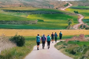 西班牙 | 圣地亚哥朝圣之路113KM精华线徒步7日