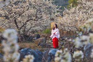 周三/四/六/日出发【水浪花谷】漫山遍野花开，打卡“清远小林芝”水浪花谷