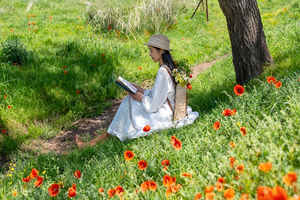 【绝色新疆·天山红花 7日】2-6人小团 S101网红国防公路 天山红花 苹果花 赛里木湖 库尔德宁