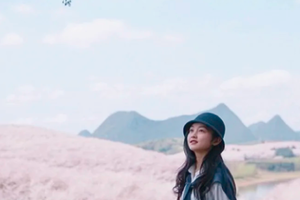 又见樱花 | 2026贵州花季秘境徒步4天3晚