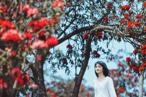 百里杜鹃 | 2026贵州花季小众秘境4天3晚轻徒旅行