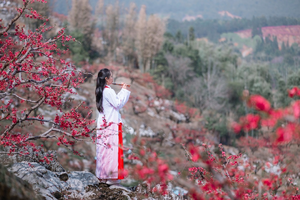 【连平桃花1天】徒步鹰嘴桃之乡13公里，赏十万亩桃花盛宴1天