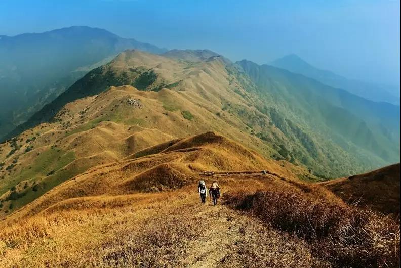 【大南山】徒步穿越惠东大南山,邂逅最美高山草甸1天行