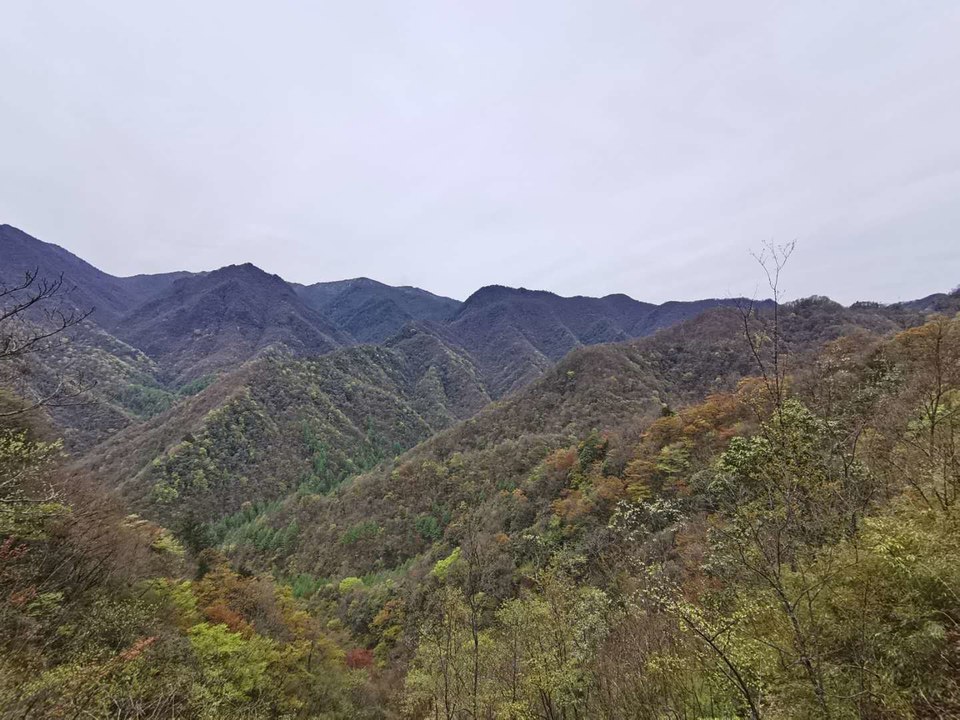 NAvwqUK_o2qcqLmcbsMN8cAmMrhA0NRVsizjmgcpU-PFJkIw-z0yANxoqnz2Nd4n