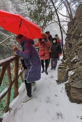 v1NnDntVxOtaprDgX_dCkpjA21EIvR8L5gVczeTMrPZrvSpme4cSonIOBCMlPwdt