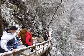 v1NnDntVxOtaprDgX_dCkinABktw_0qR8yzq4Ft3b3fzQ99d2n7BmvKFg6inTyDJ