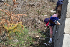 g6aqaIiOCAmvaVz7NvBFPyr93wDeyCidGi6GBA-mCV1L6kVyyTHYzufrrjtcnk9X