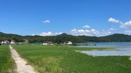 Ejg7M4xd2es7EgXlI0CJTZKumSbRFlNu_x2wnZgVDOpX1RSuuVUEWii69n94TQVc