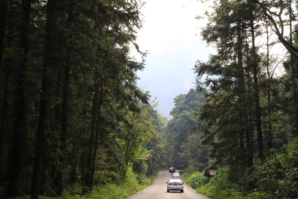 微信图片_20211206103644